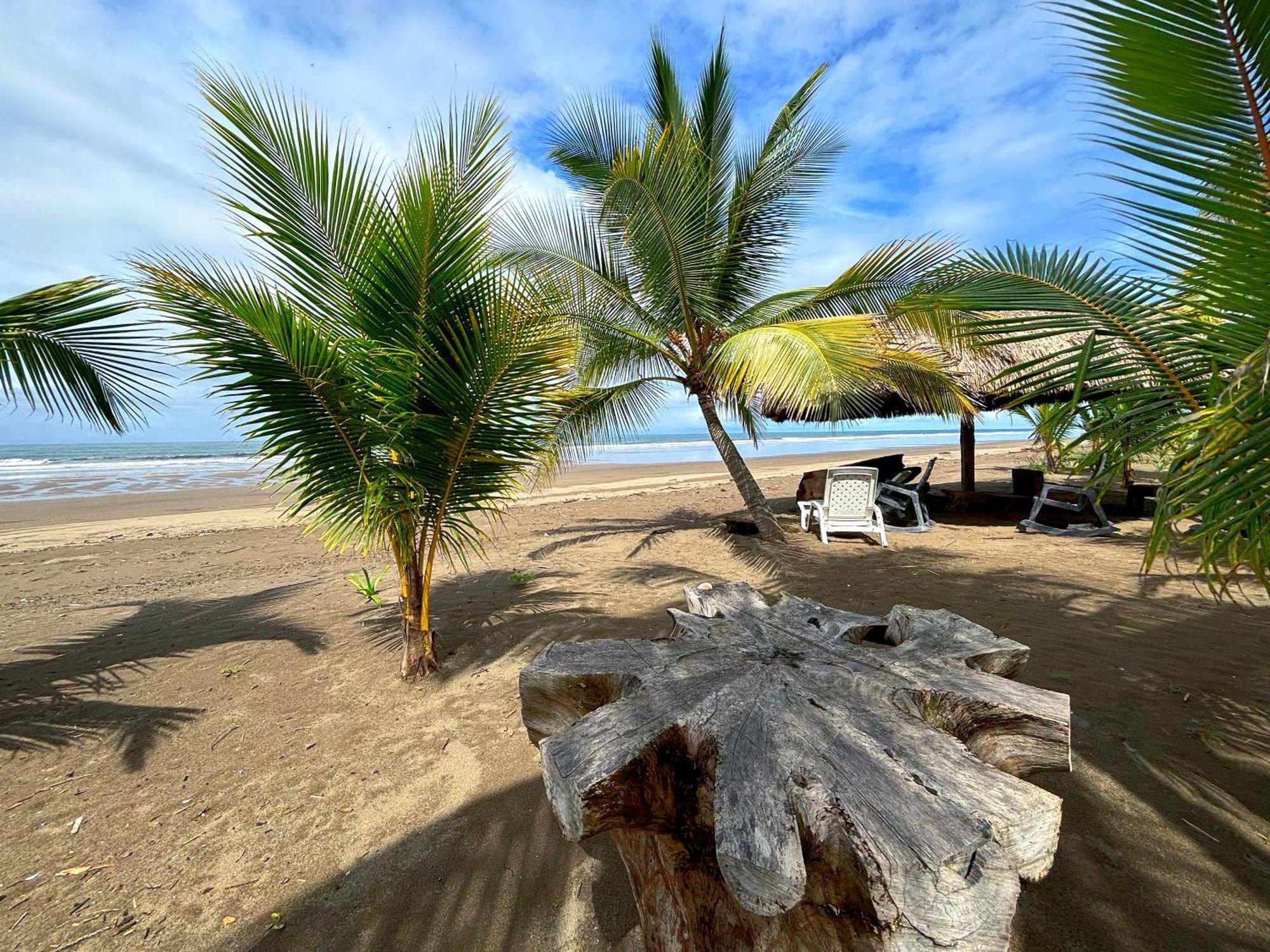 Royal Palm Retreat Apartman Cabrera Kültér fotó