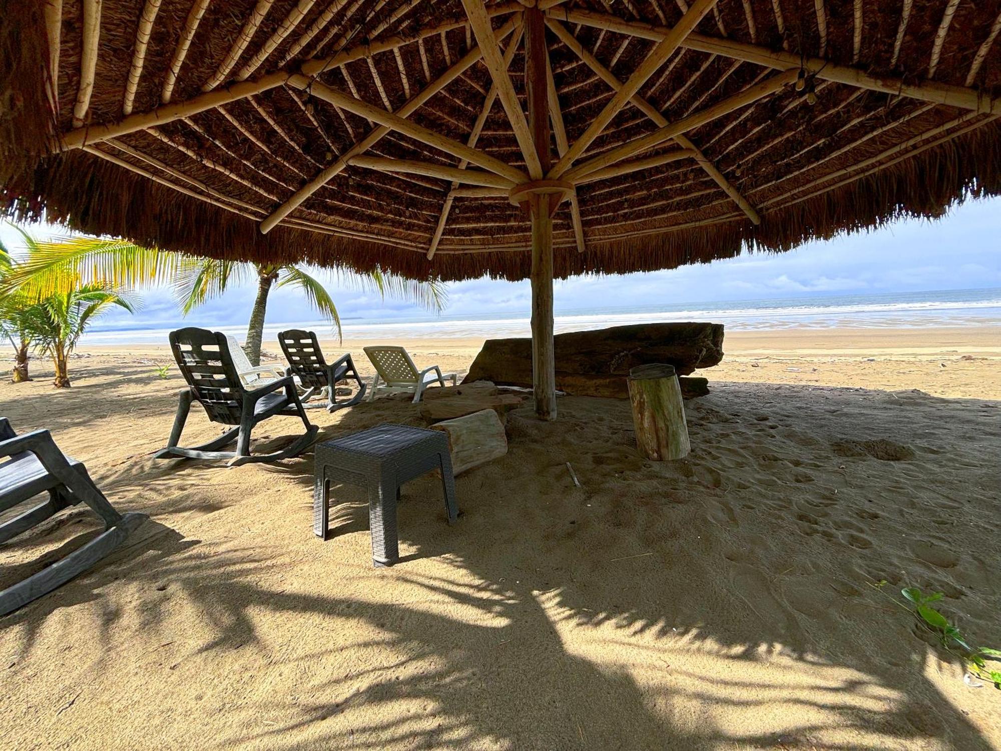Royal Palm Retreat Apartman Cabrera Kültér fotó